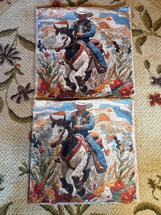 The Trail Rider